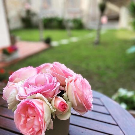 פיזה Victoria House B&B מראה חיצוני תמונה