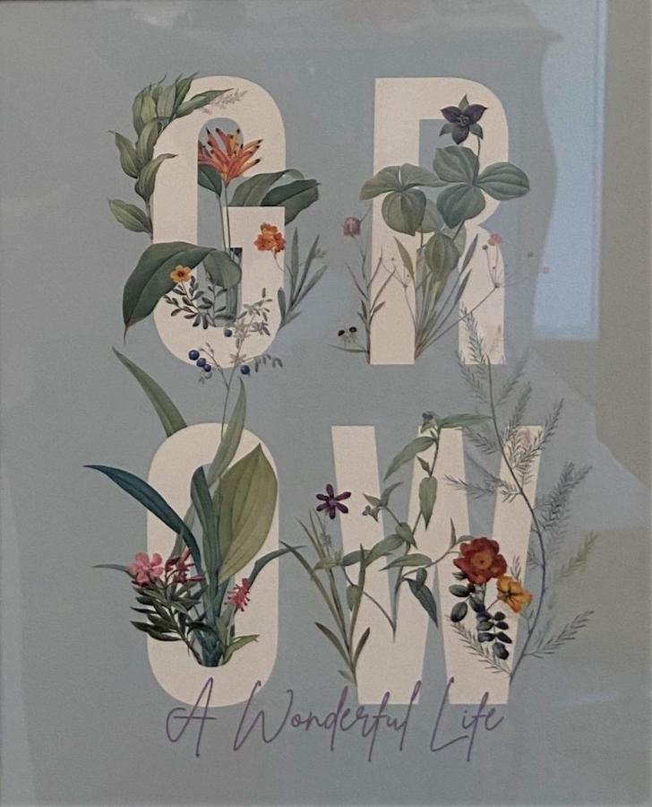 פיזה Victoria House B&B מראה חיצוני תמונה