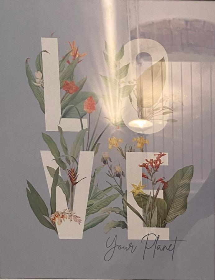 פיזה Victoria House B&B מראה חיצוני תמונה